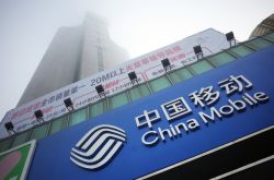 [3分钟科普]广安单位电话查询_哔哩哔哩-3
